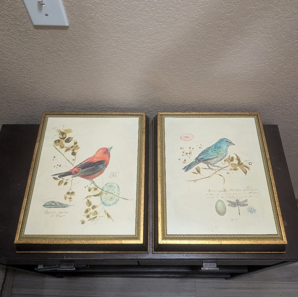 Vintage  Art/Gilded S.Ongbrs III The Great Indoors Bird Framed Art Print